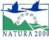 RTEmagicC_Logo_Natura.jpg.bmp
