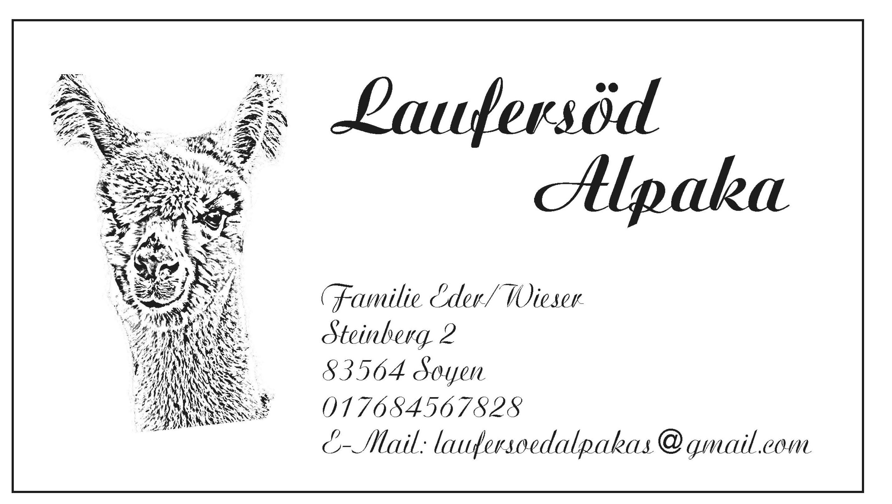 Alpakawanderung/Naturcoaching